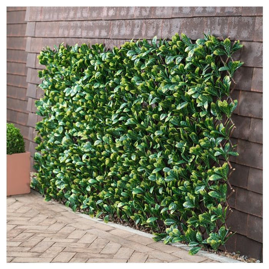 TREILLIS EXTENSIBLE FEUILLES DE IVY 1X2M