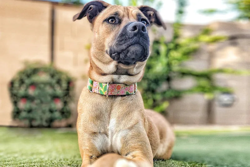 GAZON ARTIFICIEL (LE M²)